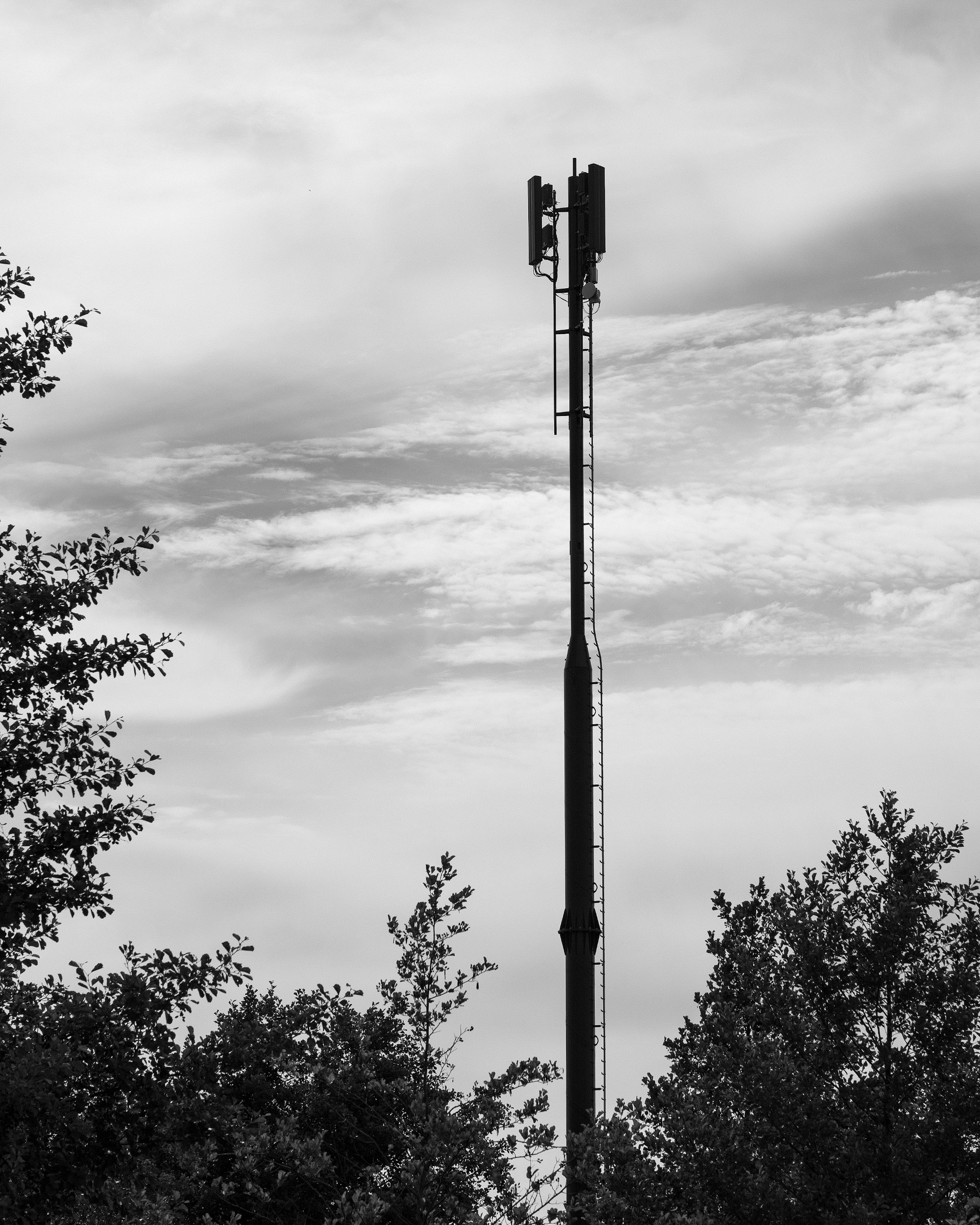 telemast60